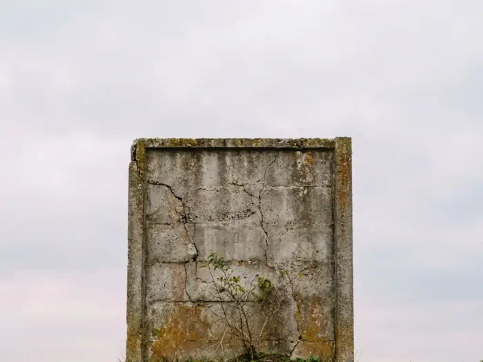 Verweerde betonnen prefab wandpaneel met textuurdetail in zacht middaglicht, kleine zaailing aan de voet, tegen bewolkte lucht